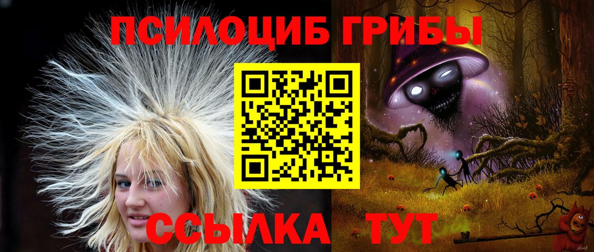 цены наркотик  Вход с VPN  Тимашёвск  Галлюциногенные грибы MAGIC MUSHROOMS  Галлюциногенные грибы прущие грибы 